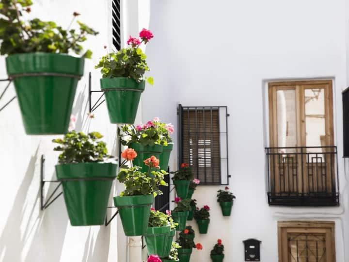 Apartamento En El Corazon De Las Alpujarras Carataunas Bagian luar foto